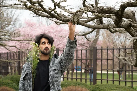 Un jardinier professionnel coupe des branches d'arbres qui dépassent d'une clôture en bois entre deux jardins.