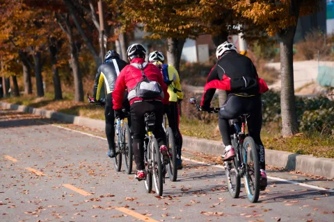 Un groupe de cyclistes se promène sur un sentier ensoleillé au milieu d'une forêt de grands pins.
