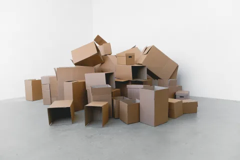 Cinq cartons en carton alignés sur un parquet dans un salon épuré.