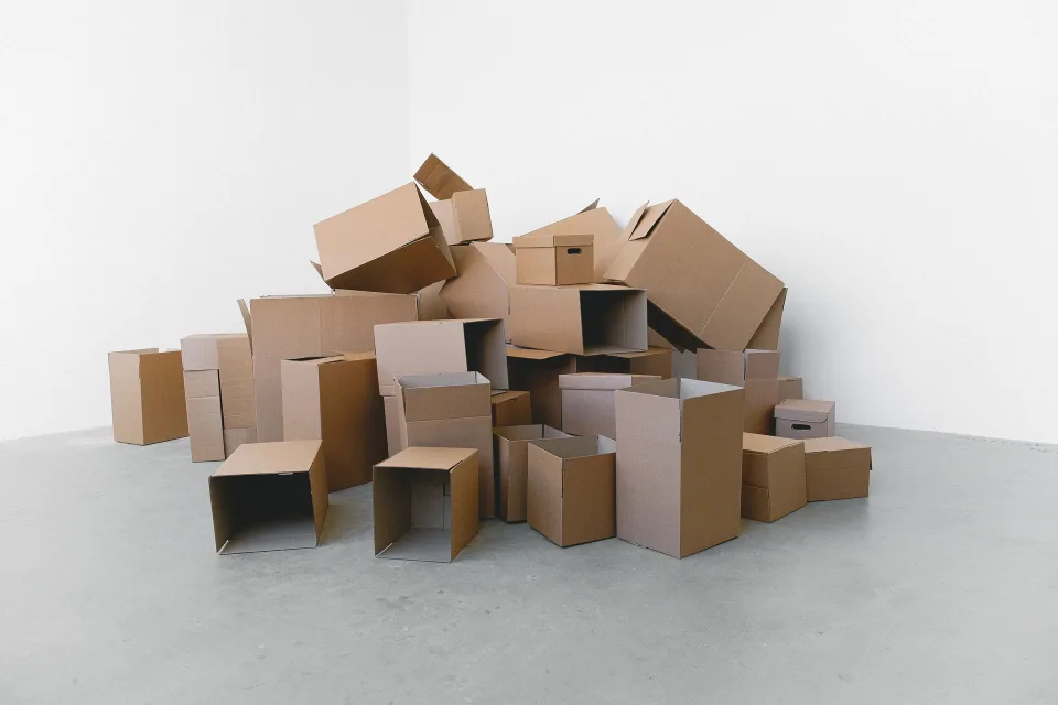 Cinq cartons en carton alignés sur un parquet dans un salon épuré.
