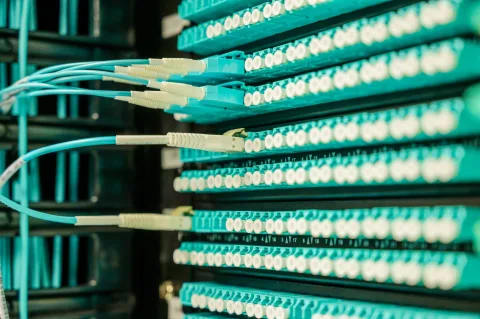 Gros plan sur un panneau de brassage RJ45 dans un coffret de communication résidentiel avec des câbles bleus connectés.