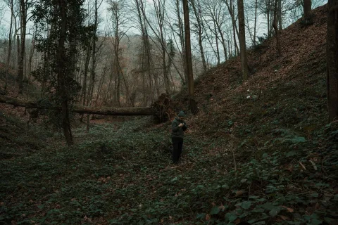 Un randonneur équipé d'un sac à dos consulte une carte topographique sur son smartphone au milieu d'un sentier forestier.