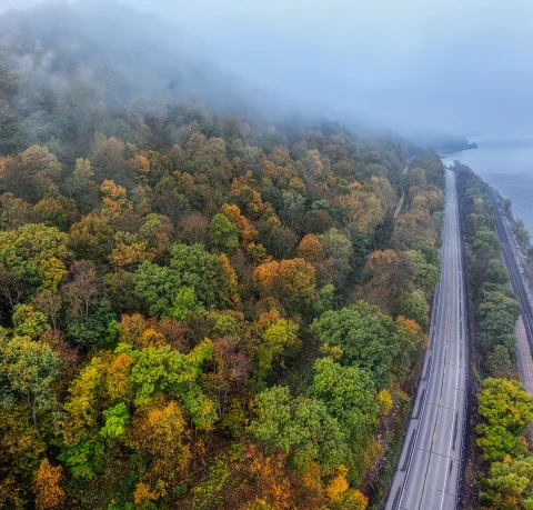 Une route forestiere bordee d'arbres aux feuilles orange et dorees longeant un lac brumeux dans les Vosges.