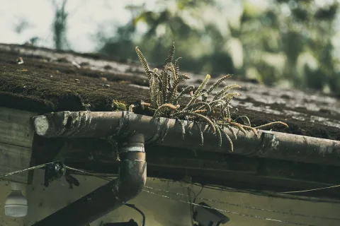 Un homme équipé de gants de protection retire les feuilles mortes accumulées dans une gouttière de maison en automne.