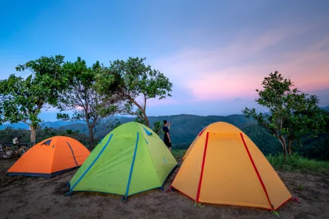 Deux randonneurs installent une tente de bivouac en lisière de forêt au coucher du soleil.