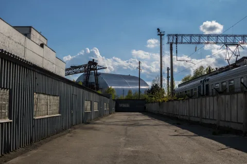 Une rue de ville déserte et envahie par la végétation évoquant une apocalypse zombie.