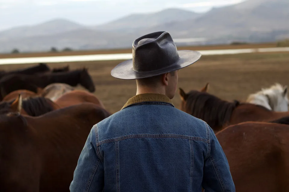 Un homme d'un certain âge en costume élégant regarde l'horizon dans un paysage rural américain.